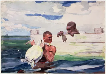 A libra da tartaruga, 1898 (wc sobre o lápis no papel)